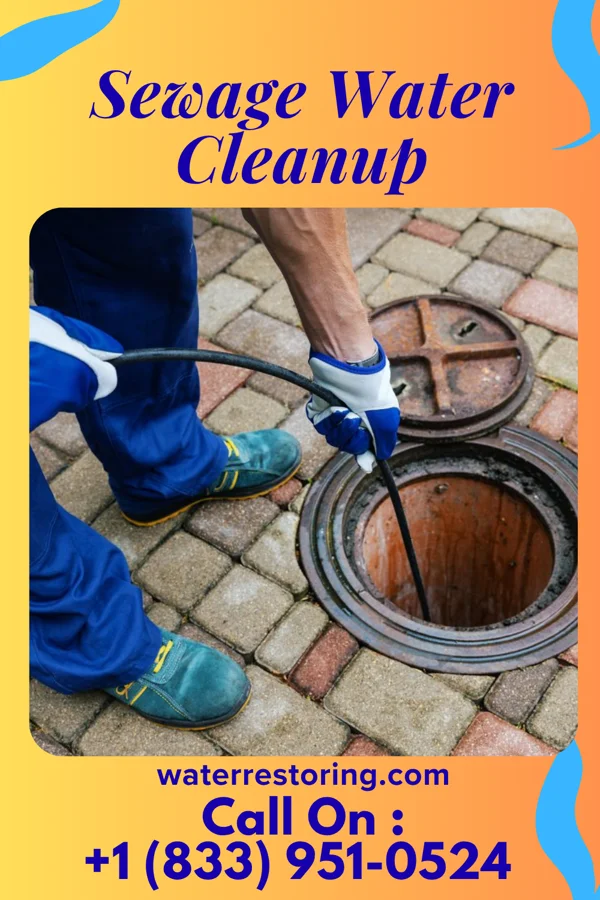 Sewage Water Cleanup in Deercroft, NC